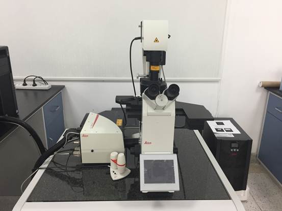 说明: 1-激光扫描共聚焦显微镜-Leica-TCS SPE Ⅱ